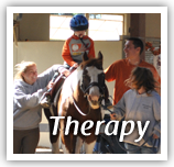 Therapy