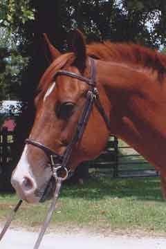 penny