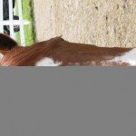 Summer Fun 2011 086