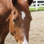Summer Fun 2011 086