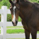Summer Fun 2011 087