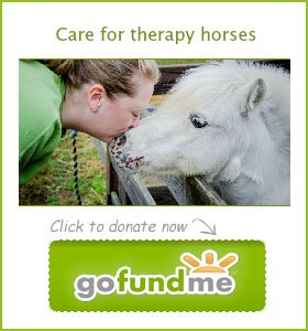 GoFundMe