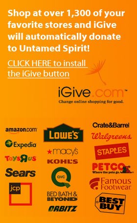 iGive Untamed Spirit